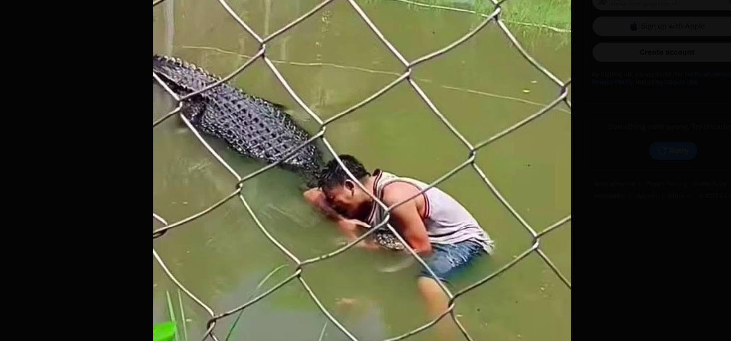 ১৫ ফুটের জ্যান্ত কুমিরকে মূর্তি ভেবে সেলফি তোলার চেষ্টা! তারপর কী ঘটলো? 22