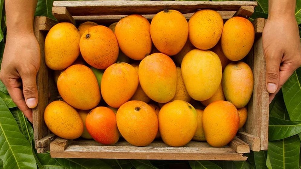 ডায়াবেটিসের রোগীরা পাকা আম খেলে কী সুগার বাড়ে? 4