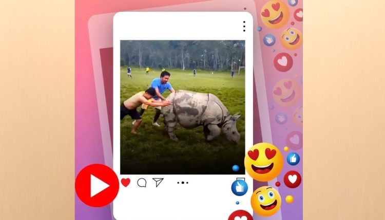 ফুটবল ম্যাচে বাধা দেওয়ায় খাবার খেতে মাঠে ঢুকে পড়লো গন্ডার! 1 ফুটবল ম্যাচে বাধা দেওয়ায় খাবার খেতে মাঠে ঢুকে পড়লো গন্ডার! 1