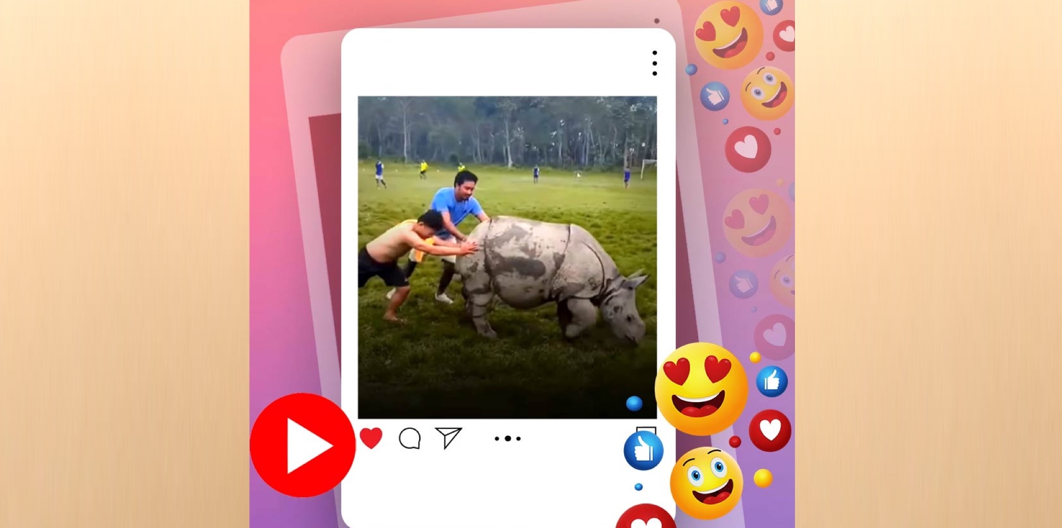 ফুটবল ম্যাচে বাধা দেওয়ায় খাবার খেতে মাঠে ঢুকে পড়লো গন্ডার! 1