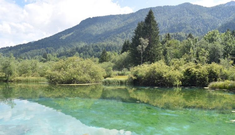 সবুজে ঘেরা পাহাড় 1 সবুজে ঘেরা পাহাড় 1