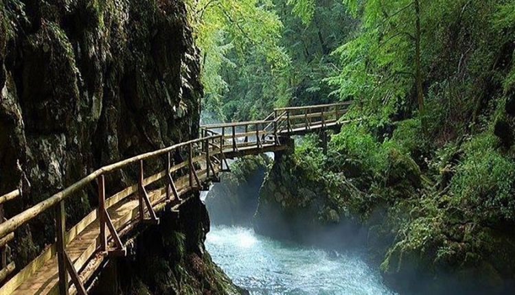 পৃথিবীর নৈসর্গ ক্রাইনস্কা গোরা 1 পৃথিবীর নৈসর্গ ক্রাইনস্কা গোরা 1