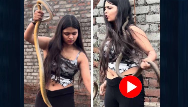 খালি হাতেই অশান্ত সাপকে টেনে বের করে জব্দ করলেন সুন্দরী তরুণী! 1