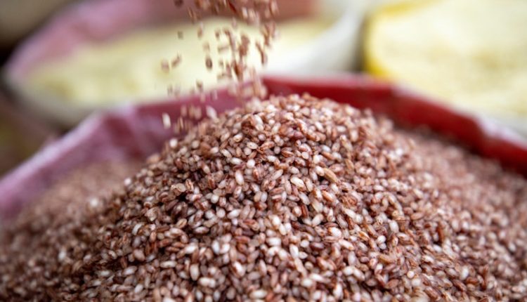 ব্রাউন রাইস খেলে কী সত্যিই সুগার নিয়ন্ত্রণে থাকে? 1 ব্রাউন রাইস খেলে কী সত্যিই সুগার নিয়ন্ত্রণে থাকে? 1