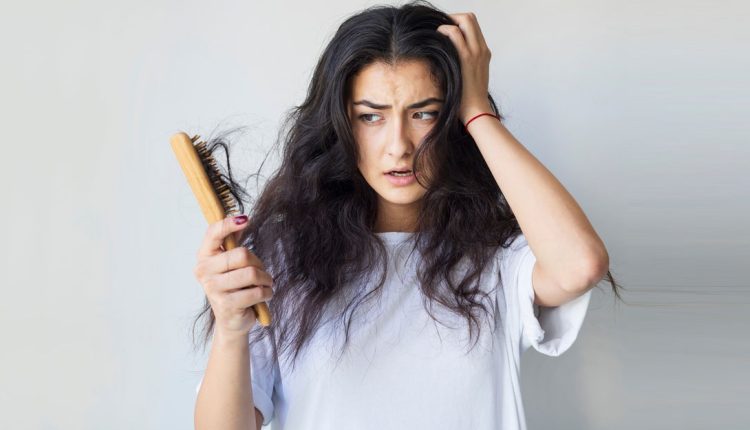 পাতা মেখেই চুল পড়া বন্ধ হবে: তাহলে কী কী ব্যবহার করবেন? 1 পাতা মেখেই চুল পড়া বন্ধ হবে: তাহলে কী কী ব্যবহার করবেন? 1