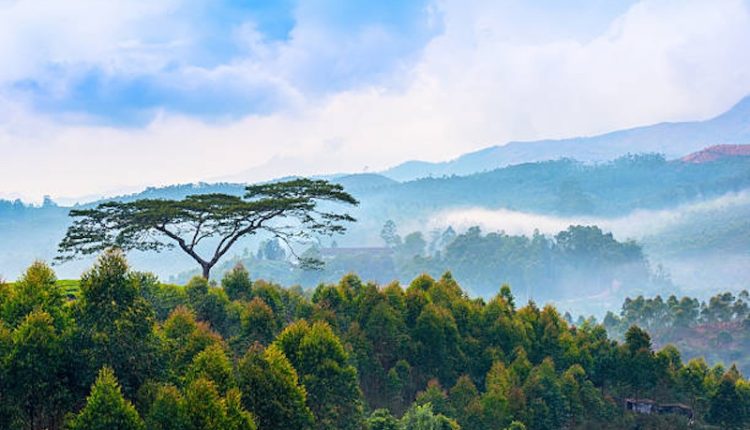 ভারতের কেরালার সুন্দরতম এক প্রাকৃতিক দৃশ্য 2
