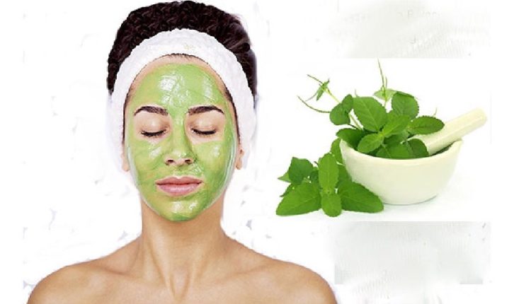 কীভাবে তুলসী মাখলে ব্রণ থেকে রুক্ষ ত্বকের সমাধান পাওয়া যাবে 1 কীভাবে তুলসী মাখলে ব্রণ থেকে রুক্ষ ত্বকের সমাধান পাওয়া যাবে 1