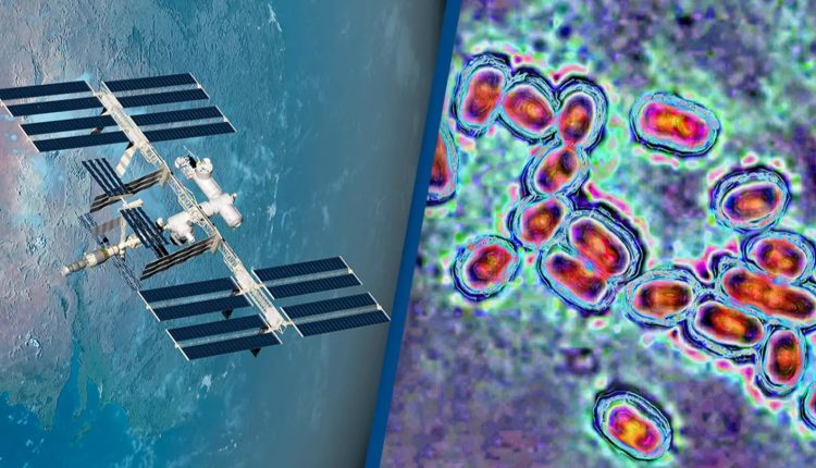 এবার মহাকাশে পাঠানো হলো রোগ সৃষ্টিকারী ব্যাকটেরিয়া! 1