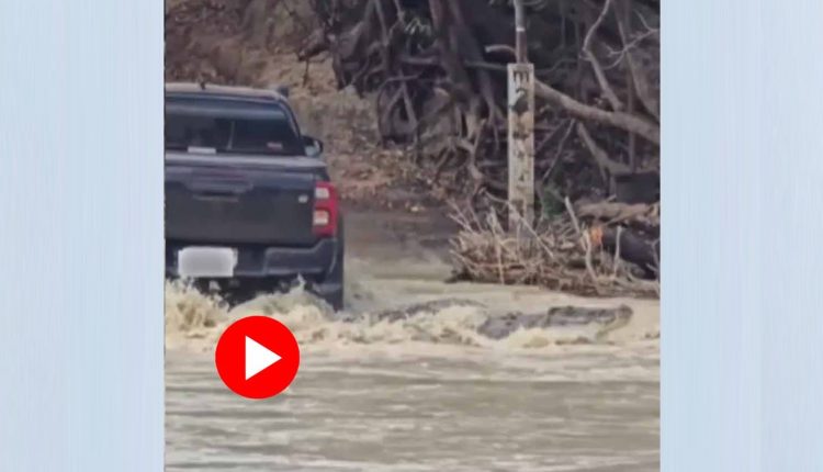 গাড়ির নীচে ঢুকে পড়লো বিশাল কুমির: নদী পার হতে গিয়ে আটকে গেলেন চালক! 1 গাড়ির নীচে ঢুকে পড়লো বিশাল কুমির: নদী পার হতে গিয়ে আটকে গেলেন চালক! 1