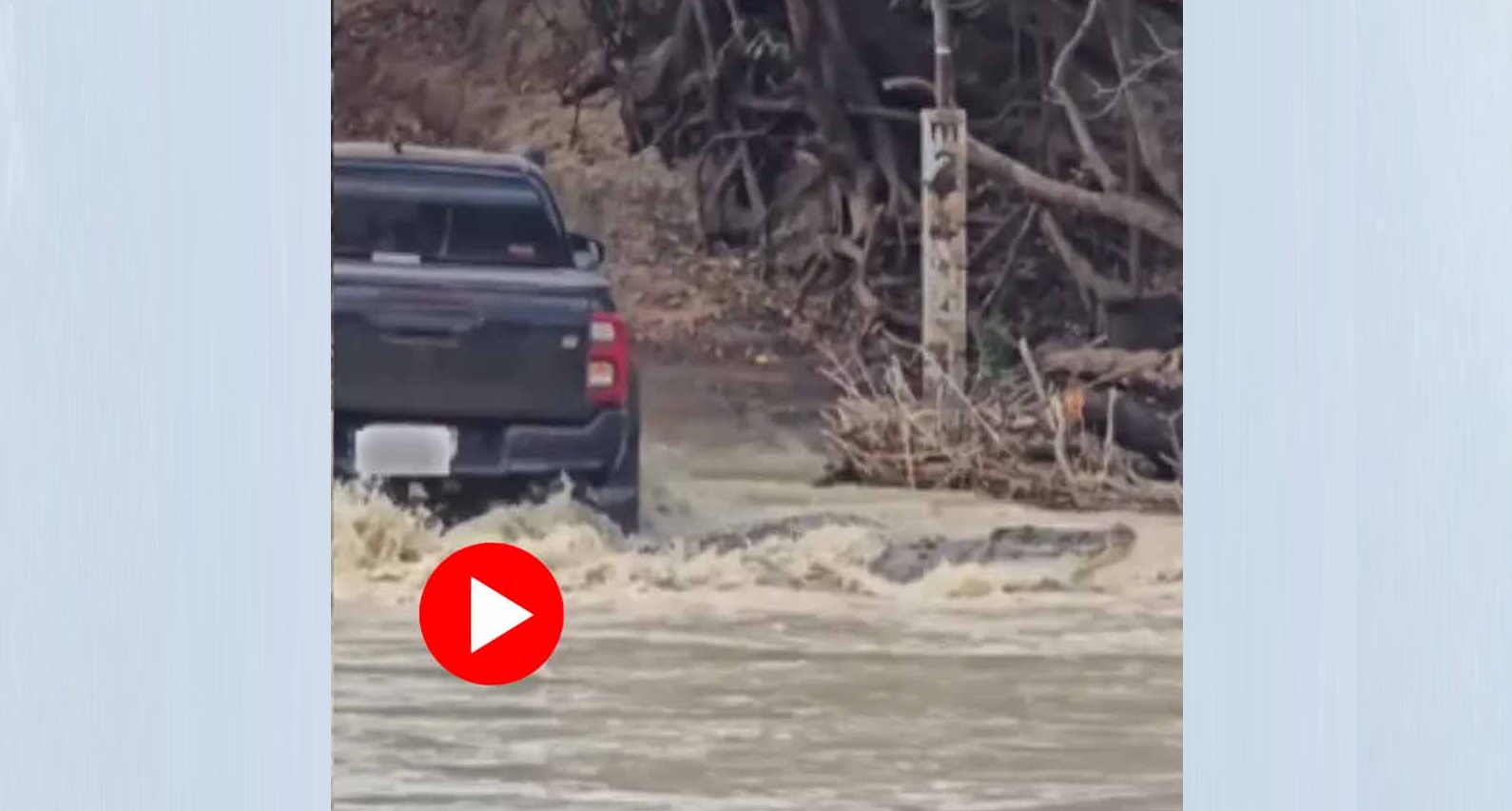 গাড়ির নীচে ঢুকে পড়লো বিশাল কুমির: নদী পার হতে গিয়ে আটকে গেলেন চালক! 7