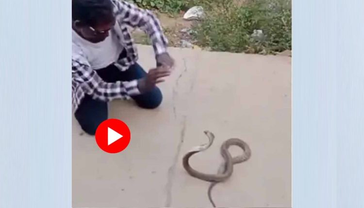 দিগ্বিদিক জ্ঞানশূন্য হয়ে বিষাক্ত গোখরোর সামনে ‘নাগিন ডান্স’: ভয়ঙ্কর পরিণতি যুবকের! 1 দিগ্বিদিক জ্ঞানশূন্য হয়ে বিষাক্ত গোখরোর সামনে ‘নাগিন ডান্স’: ভয়ঙ্কর পরিণতি যুবকের! 1