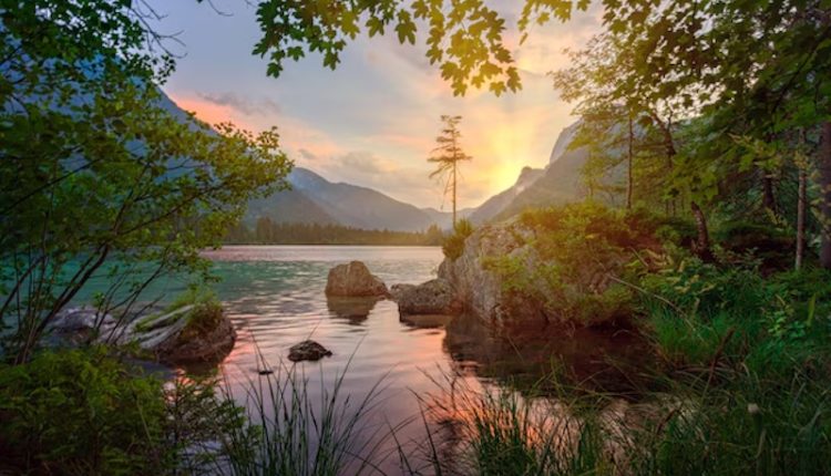 এক নৈসর্গিক প্রাকৃতিক দৃশ্য 1