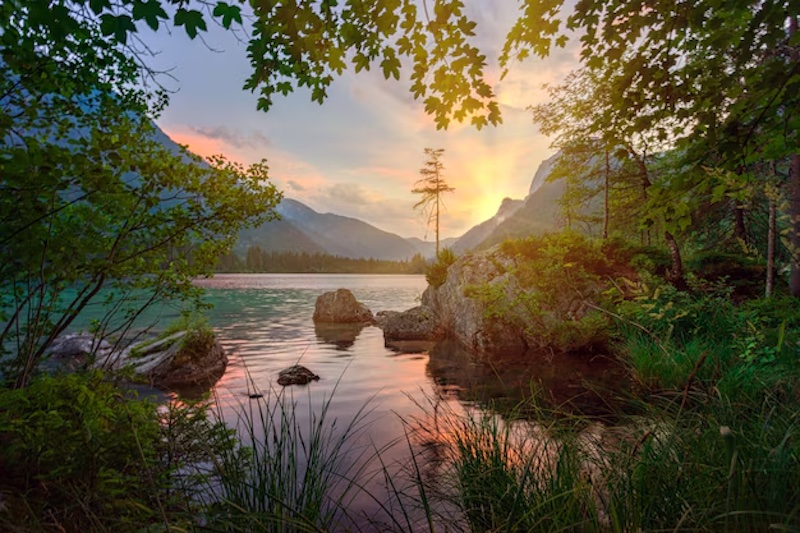 এক নৈসর্গিক প্রাকৃতিক দৃশ্য 4