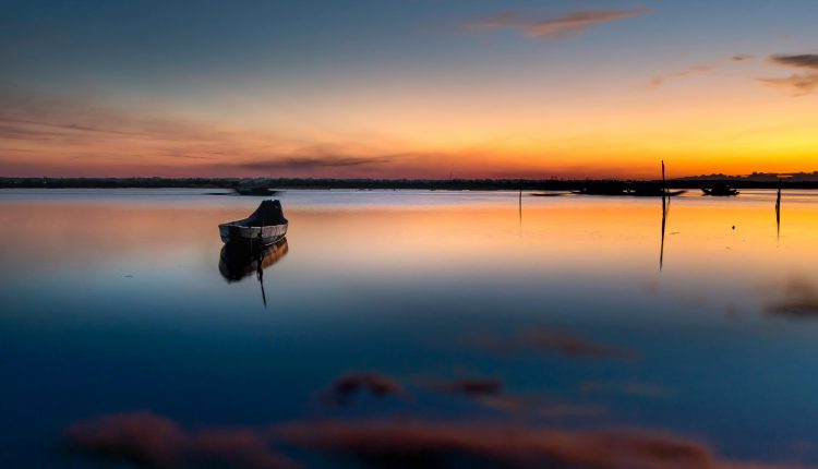 প্রকৃতিও মাঝে-মধ্যে আমাদের সব কিছু ভুলিয়ে দেয় 1 প্রকৃতিও মাঝে-মধ্যে আমাদের সব কিছু ভুলিয়ে দেয় 1