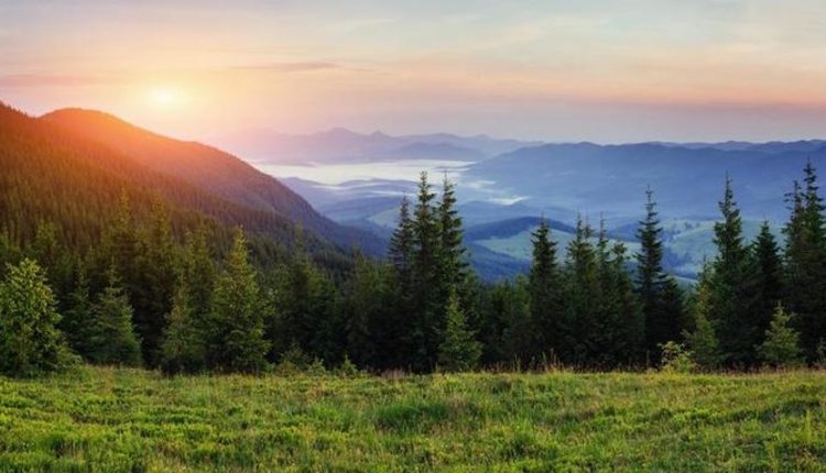 এক সবুজাভ ঘাস ও পাহাড় সত্যিই এক অপূর্ব প্রাকৃতিক দৃশ্য 14