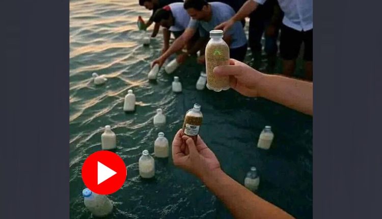 গাজ়ায় ত্রাণ পৌঁছোনোর উপায় নেই: বোতলে চাল, বেবিফুড ভরে সমুদ্রে ছুড়ছেন মিশরীয়রা! 1 গাজ়ায় ত্রাণ পৌঁছোনোর উপায় নেই: বোতলে চাল, বেবিফুড ভরে সমুদ্রে ছুড়ছেন মিশরীয়রা! 1