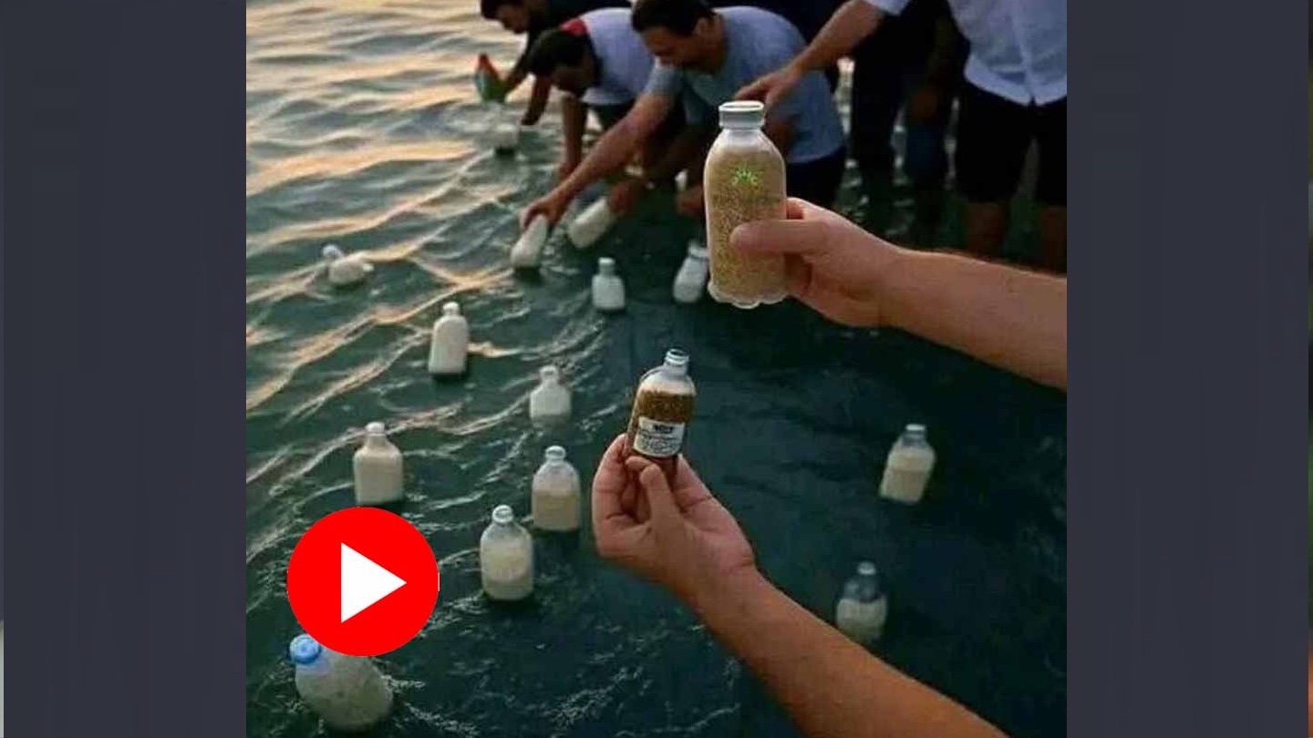 গাজ়ায় ত্রাণ পৌঁছোনোর উপায় নেই: বোতলে চাল, বেবিফুড ভরে সমুদ্রে ছুড়ছেন মিশরীয়রা! 7