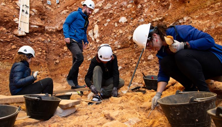 সাড়ে ৮ লক্ষ বছর আগের নরখাদকের দল: মাটি খুঁড়ে সেইসব অস্তিত্বের প্রমাণ পেলেন বিজ্ঞানীরা! 1 সাড়ে ৮ লক্ষ বছর আগের নরখাদকের দল: মাটি খুঁড়ে সেইসব অস্তিত্বের প্রমাণ পেলেন বিজ্ঞানীরা! 1