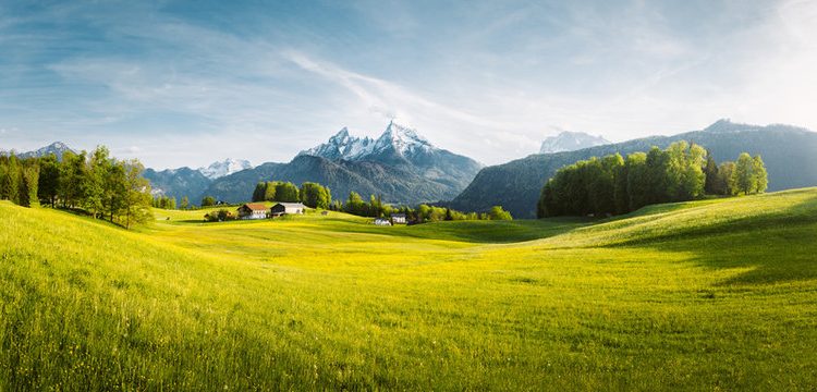 সবুজ ঘাস ও পাহাড় এক অনন্য প্রাকৃতিক দৃশ্য 1 সবুজ ঘাস ও পাহাড় এক অনন্য প্রাকৃতিক দৃশ্য 1