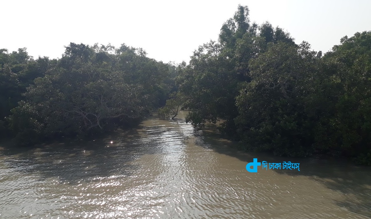 সুন্দরবন ভ্রমণ ও প্রকৃতি 19