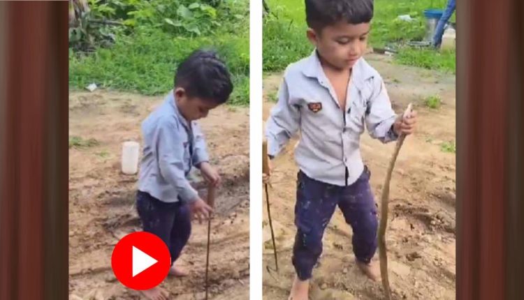 বিষধর সাপকে মুঠোবন্দি করলো এক ডানপিটে: নেট দুনিয়া তা দেখে বিস্মিত! [ভিডিও] 1