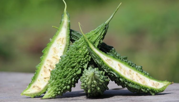 করলার উপকারিতা জেনে নিন 1 করলার উপকারিতা জেনে নিন 1