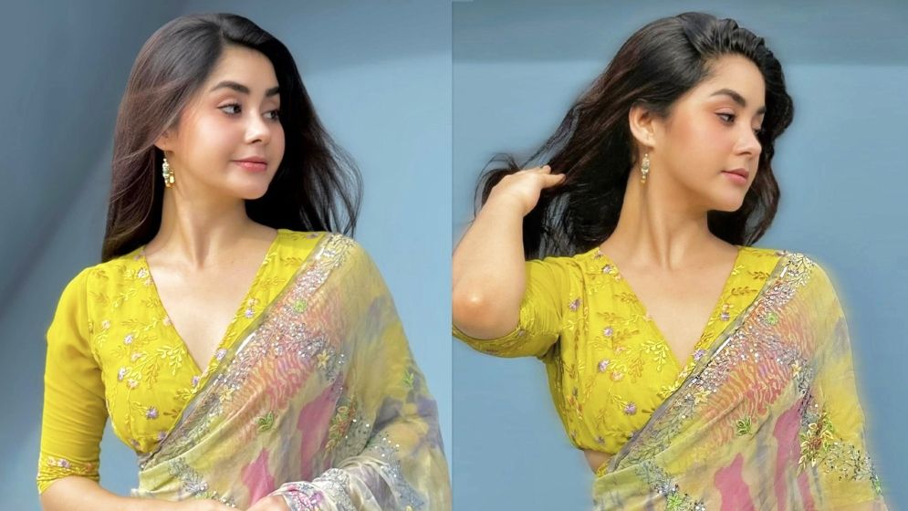 শাড়িতে মুগ্ধতা ছড়ালেন অভিনেতা তাহসান খানের পত্নী রোজা 1