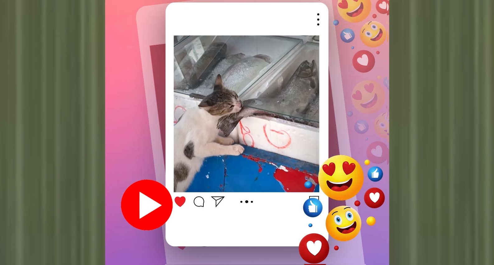 বিশাল মাছ চুরি! ধরা পড়তেই ‘চুরির জিনিস’ ছেড়ে লেজ গুটিয়ে পালালো বিড়াল! [ভিডিও] 4