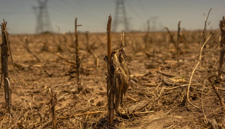 পৃথিবীর ৬০ শতাংশ ভূমিই প্রাণ বিকাশের জন্য অনিরাপদ 1