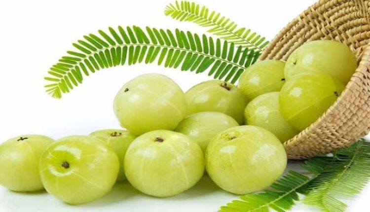 পুষ্টিগুণে ভরপুর আমলকি 1 পুষ্টিগুণে ভরপুর আমলকি 1