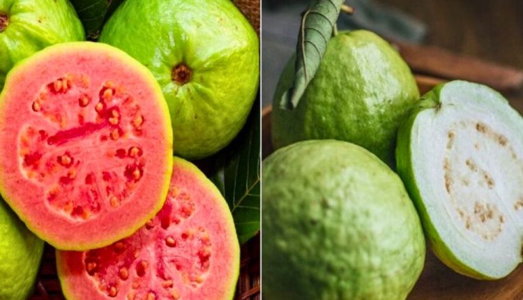 সাদা নাকি লাল: কোন পেয়ারা ডায়াবেটিস রোগিদের জন্য ভালো 5