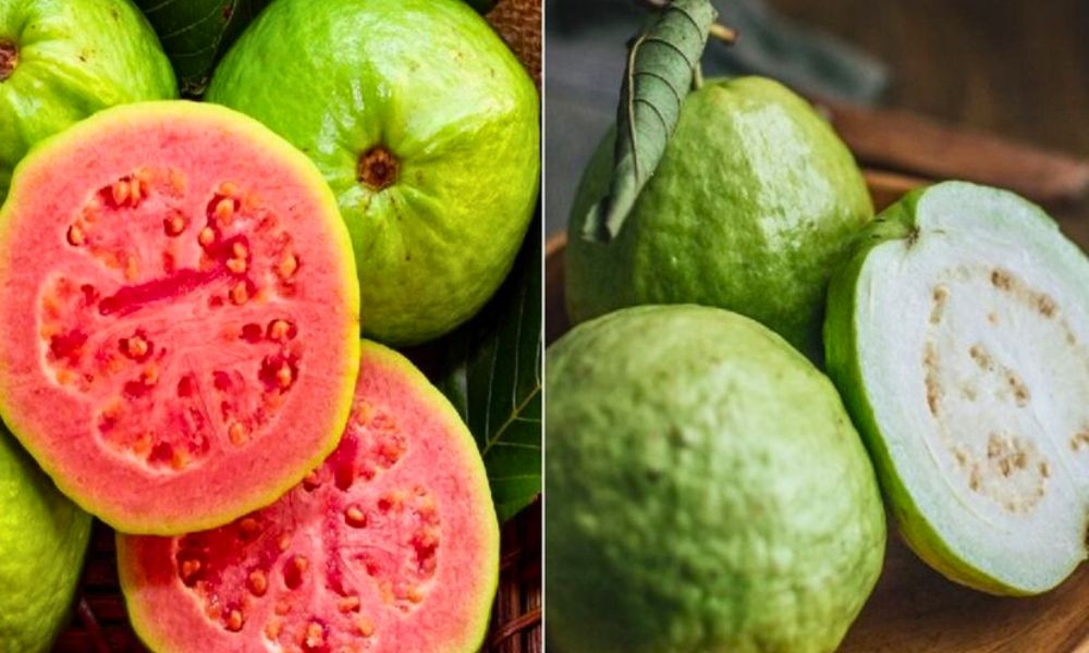 সাদা নাকি লাল: কোন পেয়ারা ডায়াবেটিস রোগিদের জন্য ভালো 4