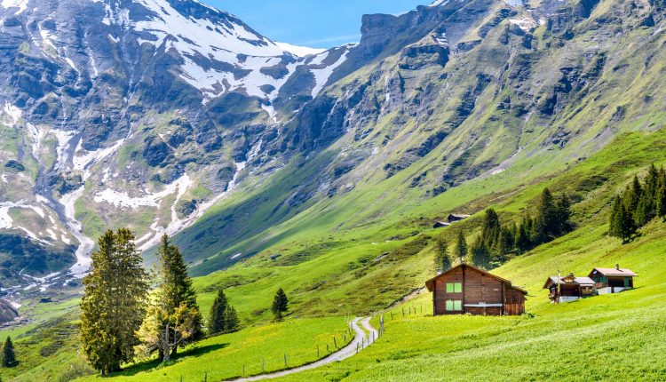 বিশ্বের যেসব দেশে রয়েছে আজব সব আইন! 1 বিশ্বের যেসব দেশে রয়েছে আজব সব আইন! 1