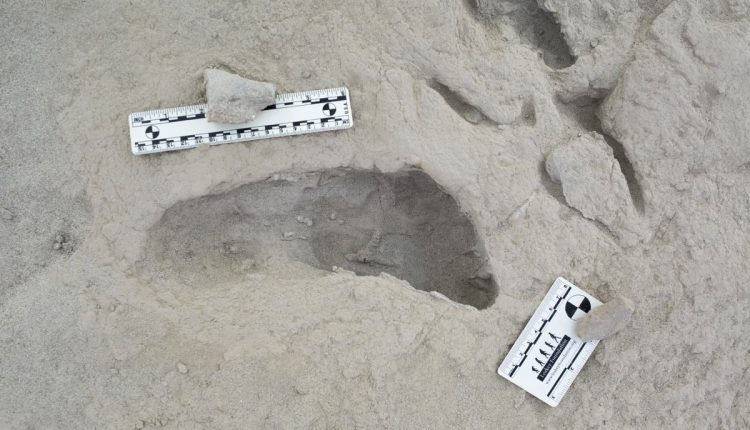 আদি মানুষের পায়ের ছাপ আবিষ্কার হলো কেনিয়ায় 2