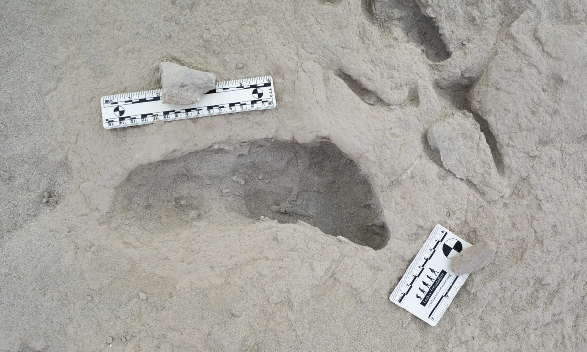 আদি মানুষের পায়ের ছাপ আবিষ্কার হলো কেনিয়ায় 1