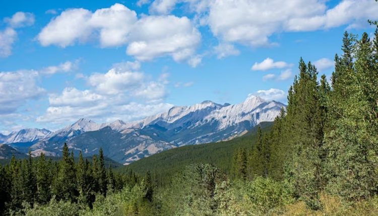 এক অসম্ভব সুন্দর প্রাকৃতিক দৃশ্য 5