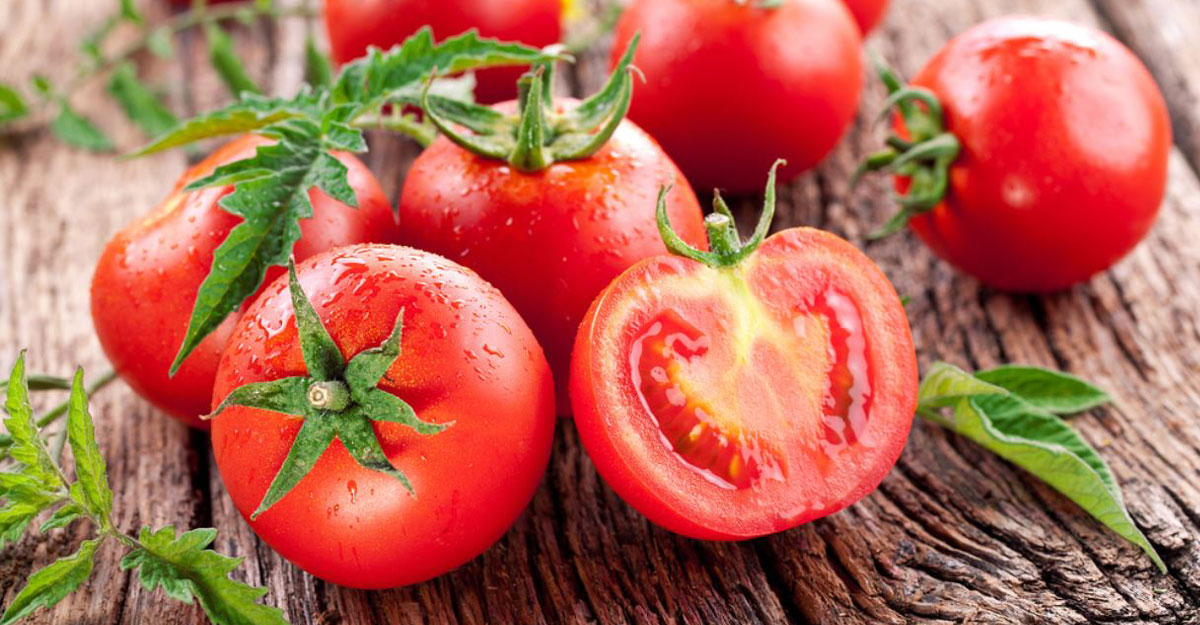 কেনো টমেটো খাবেন 1