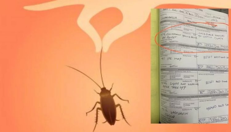 মাঝ আকাশে বিমানে ‘তেলাপোকাকে ঝুলিয়ে মৃত্যুদণ্ড’! 1 মাঝ আকাশে বিমানে ‘তেলাপোকাকে ঝুলিয়ে মৃত্যুদণ্ড’! 1