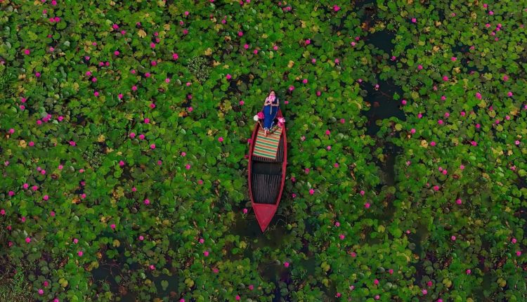 দৃশ্যটি চিত্র শিল্পীর আঁকা চিত্রের মতোই! 1 দৃশ্যটি চিত্র শিল্পীর আঁকা চিত্রের মতোই! 1