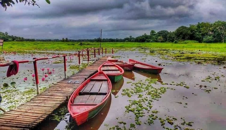 বর্ষায় খাল-বিল পানিতে টই-টম্বুর 1