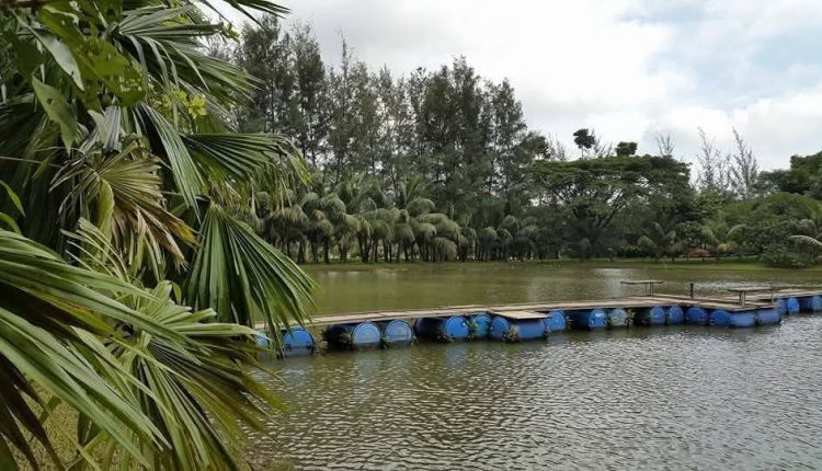 এক অসম্ভব সুন্দর প্রাকৃতিক দৃশ্য 1