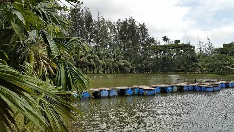 এক অসম্ভব সুন্দর প্রাকৃতিক দৃশ্য 7