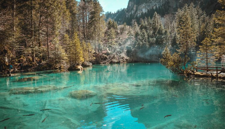 স্বচ্ছ পানি ঝাউবন ও পাহাড় 1 স্বচ্ছ পানি ঝাউবন ও পাহাড় 1