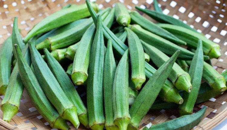 ঢেড়ষ আমাদের শরীরের কী কী উপকার করে 1 ঢেড়ষ আমাদের শরীরের কী কী উপকার করে 1