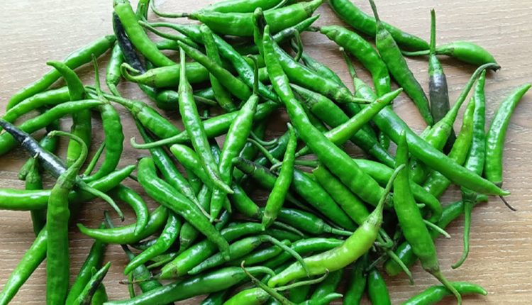 কাঁচা মরিচ স্বাস্থ্যের জন্য কী কী উপকার করে জেনে নিন 1