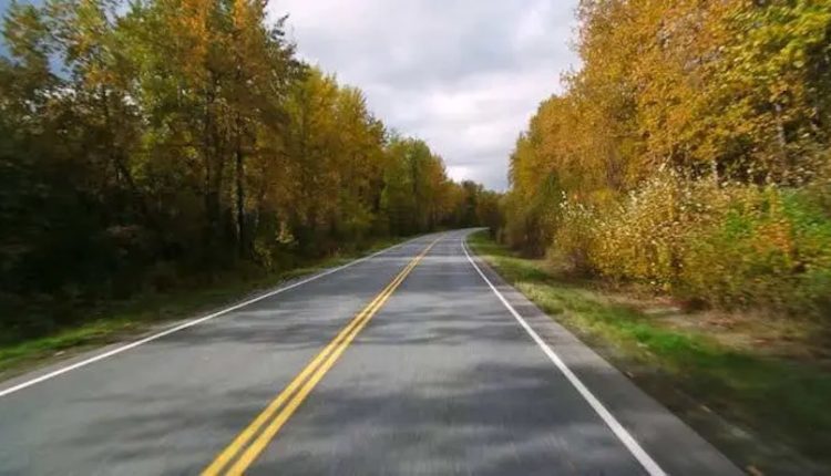 রাস্তার মাঝে হলুদ ও সাদা দাগের রহস্য কী? 2