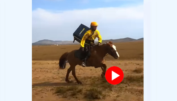 এবার ঘোড়ায় চেপে খাবার ডেলিভারি দূরের ঠিকানায়! 1 এবার ঘোড়ায় চেপে খাবার ডেলিভারি দূরের ঠিকানায়! 1