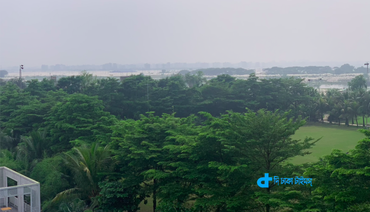 সবুজ গাছ-গাছালি ও আমাদের পরিবেশ 1