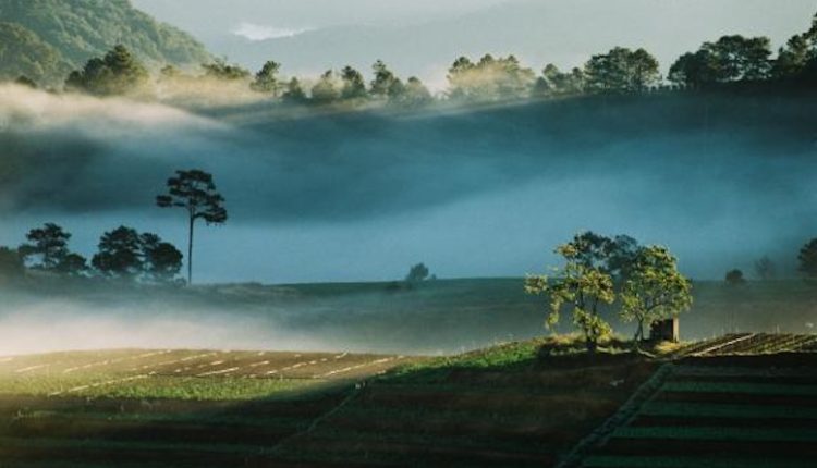 কুয়াশা যখন আচ্ছন্ন থাকে 1 কুয়াশা যখন আচ্ছন্ন থাকে 1