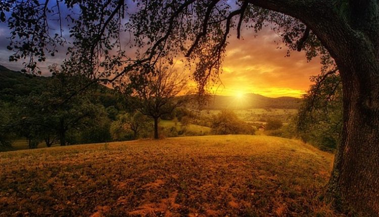 গাছ-গাছালি ও পাহাড়-পর্বতের মধ্যে সূর্য উঁকি মারছে 2